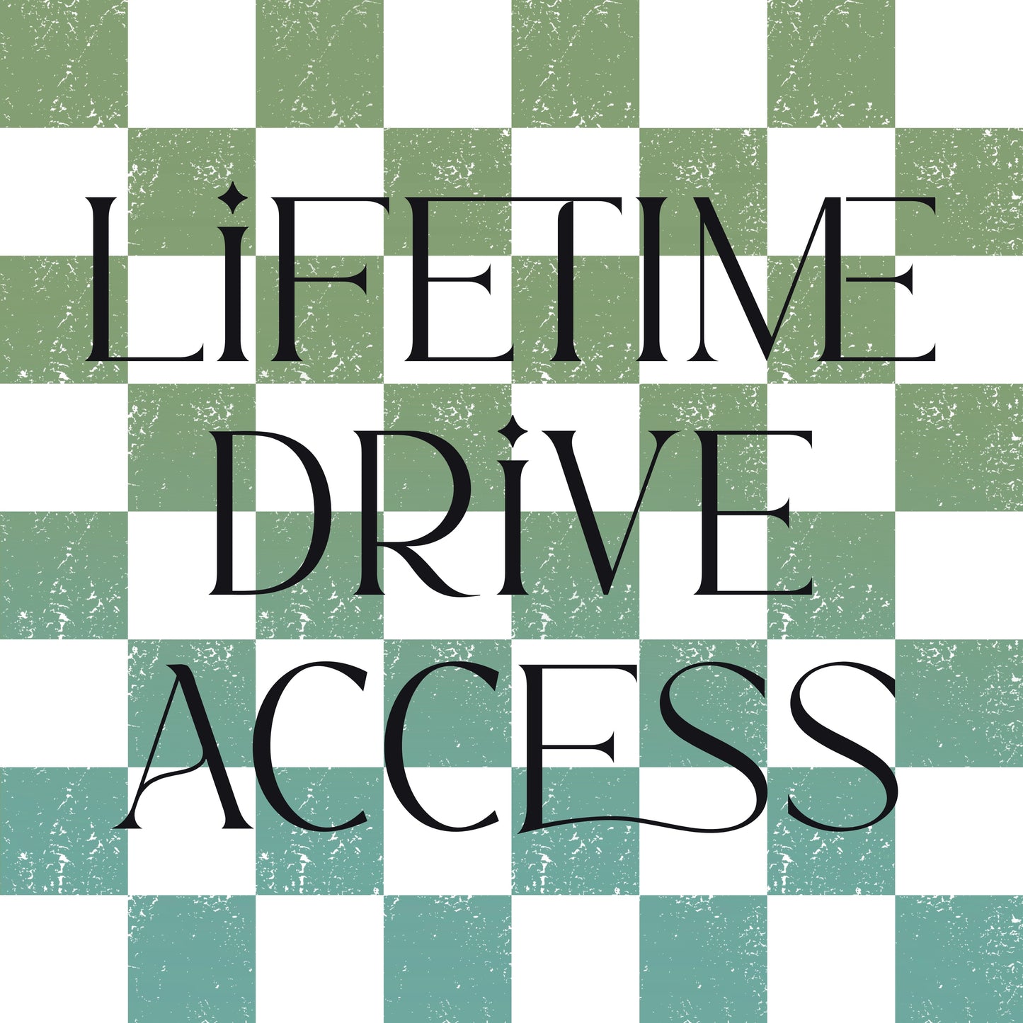 LIFETIME DRIVE ACCESS